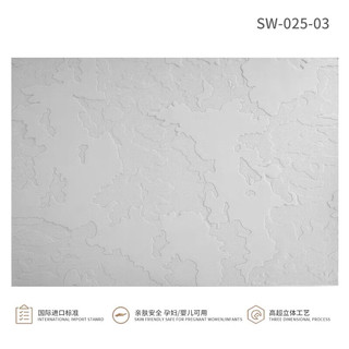 布迪思3D立体机织硅藻丝防水地毯客厅卧室书房奶油风轻奢高级感大面积 SW-025-03 240*340CM