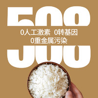 疆合玉珠 新疆大米胚芽米羊脂籽米真空包装2023新米