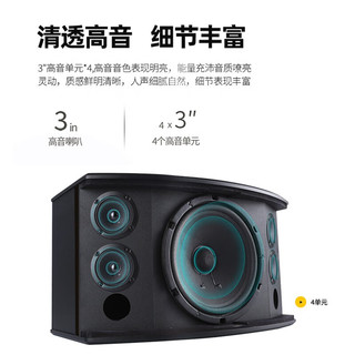 飞利浦（PHILIPS）CSS1310家庭KTV音响套装家庭影院卡拉OK语音点歌机套装 【升级版】10吋2音响+点歌机套装