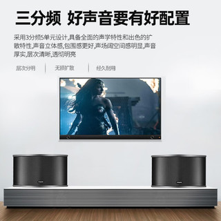 飞利浦（PHILIPS）CSS1310家庭KTV音响套装家庭影院卡拉OK语音点歌机套装 【升级版】10吋2音响+点歌机套装