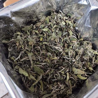 福鼎白茶2023三级花香白牡丹原产地正味自产自销散茶新茶