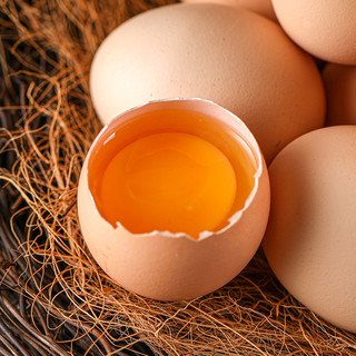蛋悠品 新鲜散养柴鸡蛋自养笨鸡蛋土鸡蛋45g*50枚谷草鸡蛋