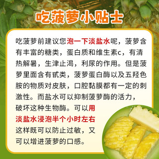 香水菠萝 新鲜凤梨 热带水果孕妇水果时令生鲜 新鲜采摘产地直发 4.5-5斤