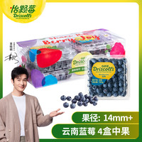 怡颗莓 21号：Driscoll’s 怡颗莓 云南蓝莓14mm+ 4盒礼盒装 125g/盒