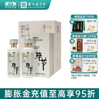 毕节 酱酒53 酱香型白酒53度高度白酒礼盒装送礼宴请佳品 53%vol 500mL 2瓶 礼盒装