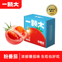 一颗大 ™ 粉番茄 水果西红柿生吃 沙瓤有籽自然成熟生鲜蔬菜 非普罗旺斯 粉番茄 550g *4盒
