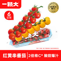 一颗大 ™ 樱桃番茄 红黄串收番茄  198g *6盒（红3黄3）