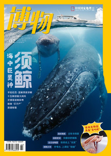 博物 2024年2月号 本期专题：须鲸 中国国家地理青春少年版 博物君式科普百科期刊