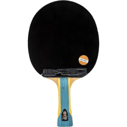 dhs红双喜乒乓球拍三星横拍双面反胶乒乓球拍直拍单拍兵兵拍成品直拍h