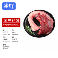 恒都国产冰鲜黄牛牛腱肉500g 冷藏 谷饲牛肉 炖煮食材