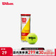 Wilson 威尔胜 新款密封罐装组合运动训练比赛网球3只组合装罐装网球 WRT100101