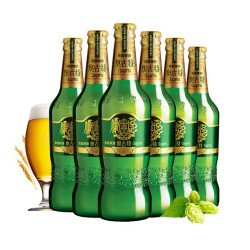 tsingtao青岛啤酒青岛奥古特瓶装啤酒12度480ml6瓶480ml6瓶
