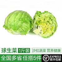 绿食者 新鲜球生菜500g 汉堡用西生菜西餐三明治沙拉蔬菜轻食食材