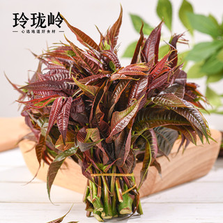 玲珑岭当季头茬嫩香椿芽500g云南仿野生红油春芽叶蔬菜