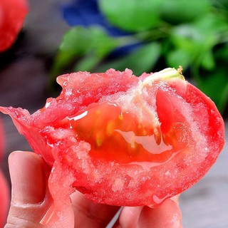 京东生鲜 普罗旺斯西红柿 番茄 中果 2.5kg 约20个左右