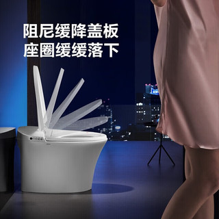 ARROW 箭牌卫浴 智能坐便器