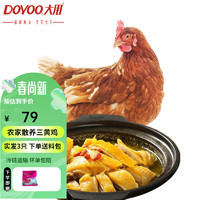 DOYOO 大用 新鲜三黄鸡 整只约850g/只炖汤滋补食材笨鸡走地鸡冷冻农家散养