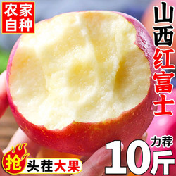 飘香果度 新鲜红富士苹果水果 脆甜多汁 当季时令新鲜丑苹果礼盒 5斤中果