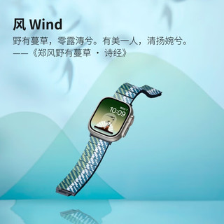 PITAKA苹果表带Apple Watch Ultra 2/S8/S9风花雪月W+凯夫拉碳纤维织磁吸超轻耐磨简约iWatch智能表带 单表带丨全尺寸苹果手表通用