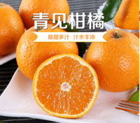 鲜菓篮 四川青见果冻橙  10斤