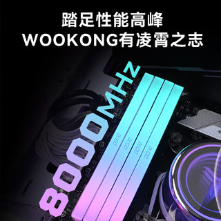 BIWIN佰维（BIWIN）DDR5台式机内存条 悟空 DX100炫光 RGB灯条 6600MHz 32GB 2条 16G*2（白色）