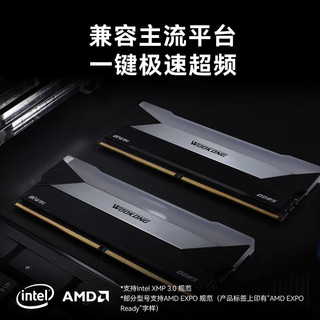 BIWIN佰维（BIWIN）DDR5台式机内存条 悟空 DX100炫光 RGB灯条 6600MHz 32GB 2条 16G*2（白色）