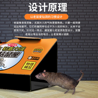 金大侠粘鼠板老鼠贴超强力仿鼠洞式家用老鼠一窝端捕鼠灭鼠神器 12张装