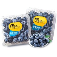 京世泽 国产高山蓝莓 时令蓝莓水果 1盒装125g/盒 12mm+