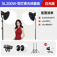 Godox 神牛 SL200w二代直播补光灯摄影灯套装SL200W两灯套装（灯笼罩*2） 官方标配