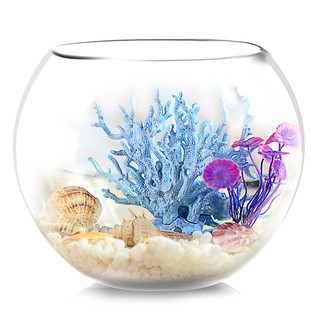 NOMOYPET 桌面小鱼缸玻璃 生态鱼缸造景 养金鱼小型热带鱼 客厅圆形鱼缸