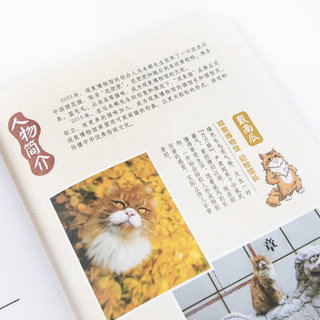 观复猫小学馆系列 · 全六册·超级书作家马未都主中华传统文化