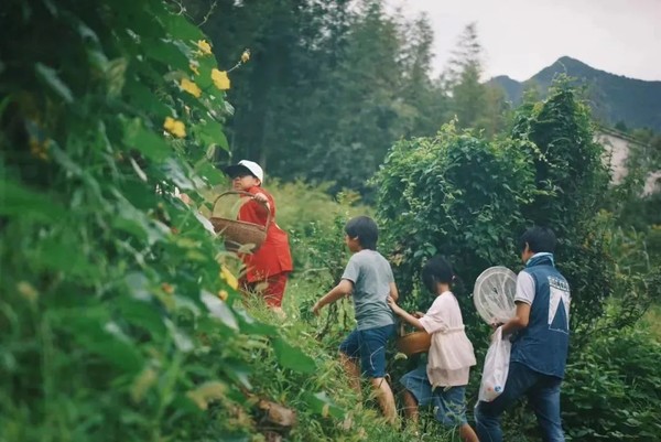 夏季遛娃提前囤！门口就能玩水溯溪！桐庐潜庐乡居民宿 暑-庭院景观标准间1晚（含早餐+下午茶）