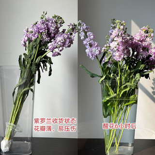 京东鲜花 云南直发花束