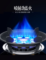 AOLAINA 奥莱纳 煤气灶单灶家用单个燃气灶天然气液化气灶嵌入式台单眼猛火炉具