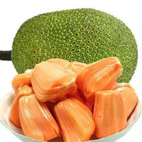 惜音 越南进口红肉菠萝蜜一整个红心波罗蜜当季新鲜水果整箱 精品 越南红肉菠萝蜜 6-8斤  超值装