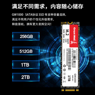 长城（Great Wall) 512GB SSD固态硬盘 M.2接口SATA协议 读速540MB/S GW1000系列