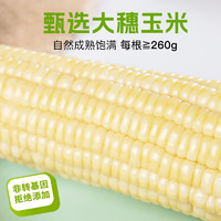 NONGKEYU 农科玉 新鲜黑糯玉米真空包装非转基因 高效煮义白糯260g*6根