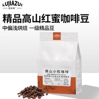 鹿家嘴 咖啡豆500g 临期特惠