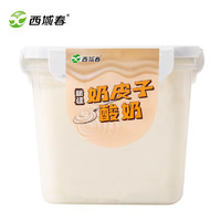 西域春 新品上市新疆西域春奶皮子酸奶1000克桶装低温酸奶益生菌酸牛奶