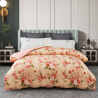 奈士迪95白鹅绒加厚全棉冬被被芯羽绒被子春秋春夏被保暖双单人被芯 花香 200*230cm（填充1600g）冬款特厚