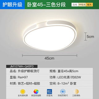 ARROW箭牌照明客厅灯现代简约大气超亮客厅灯卧室灯中山灯具 05 45cm/三色分段/82W