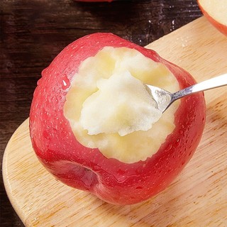 luochuanapple 洛川苹果 青怡陕西红富士净重1.75kg 单果135g起