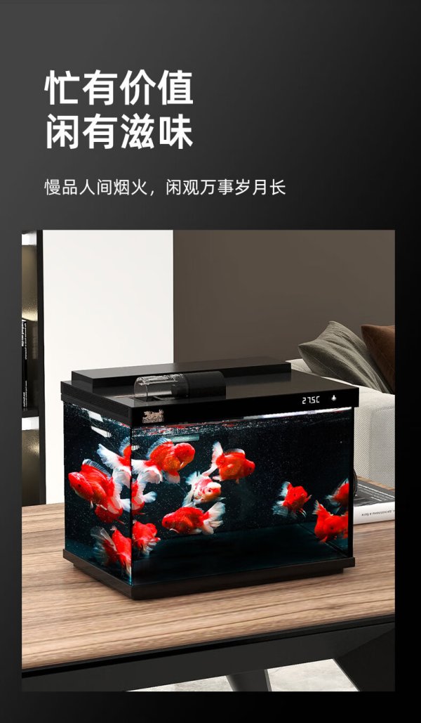 sunsun 森森 金麟超白玻璃鱼缸客厅小型免换水家用水族箱生态过滤制氧