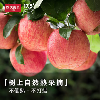 农夫山泉17.5°牌橙 +苹果 年货礼盒卡 苹果 J 果12粒装*2箱