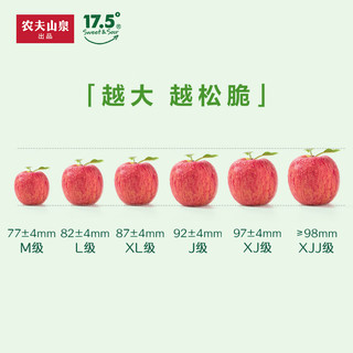 农夫山泉【甄选】17.5°度新疆阿克苏苹果 红富士苹果礼盒 XJJ#果  9粒装