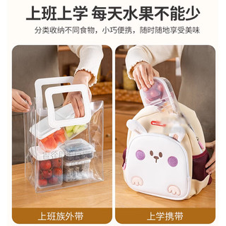 家の物语（KATEI STORY）日本水果盒小食品级分格便携外出宝宝儿童春游收纳盒便当 700ml【双开盖】外带水果盒