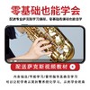 泰山 中音萨克斯TSAS-6600FA大喇叭口考级 成人专业演奏降e调乐器