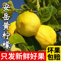 果耶 四川安岳柠檬当季新鲜水果1斤装