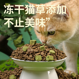 YOUNGER PET 养只宠物 双拼猫粮50g 鲜肉全价