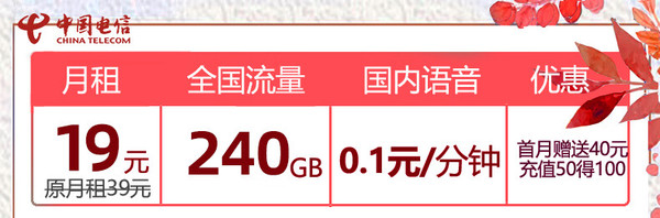 CHINA TELECOM 中国电信 霸王卡 半年19元月租（210G通用流量+30G定向流量+0.1元/分钟全国通话）